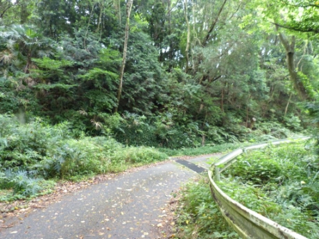 画像25